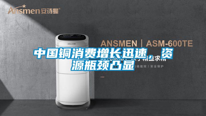 中国铜消费增长迅速，资源瓶颈凸显