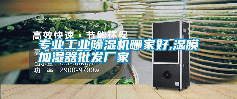 专业工业除湿机哪家好,湿膜加湿器批发厂家