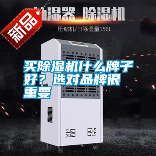 买除湿机什么牌子好？选对品牌很重要