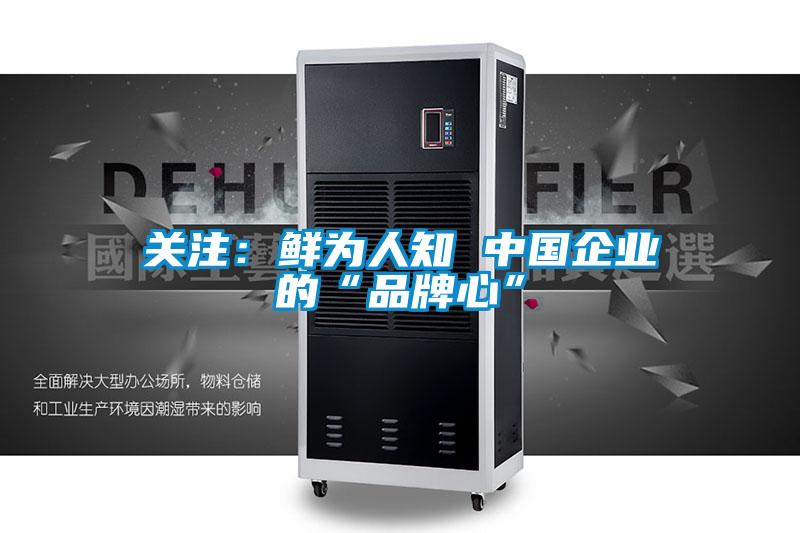 关注：鲜为人知 中国企业的“品牌心”
