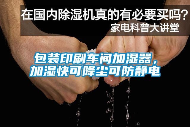 包装印刷车间加湿器，加湿快可降尘可防静电