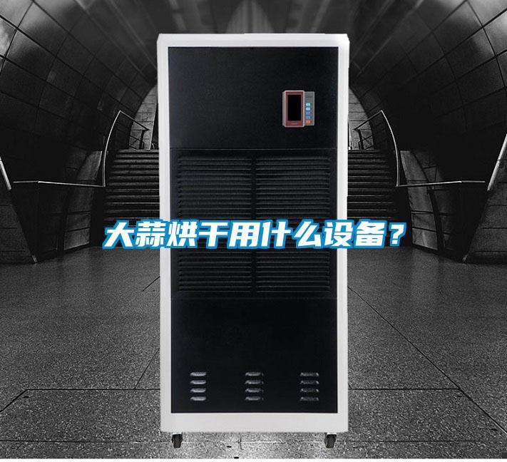 大蒜烘干用什么设备？