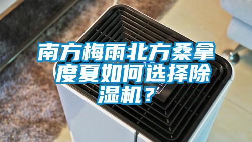 南方梅雨北方桑拿 度夏如何选择除湿机？