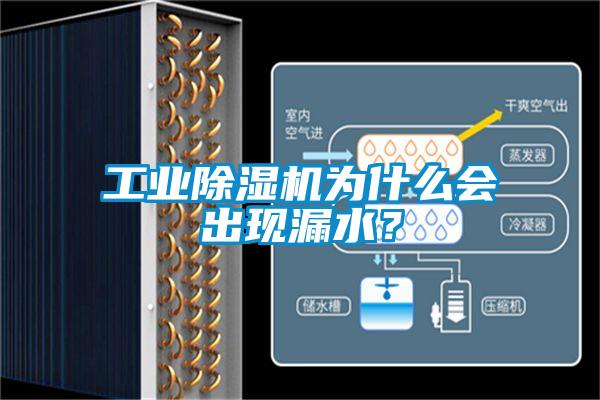 工业除湿机为什么会出现漏水？