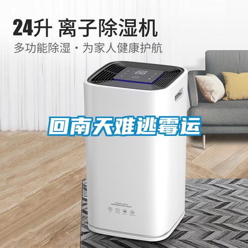 回南天难逃霉运