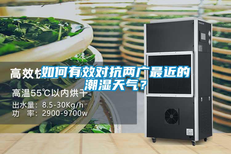 如何有效对抗两广最近的潮湿天气？