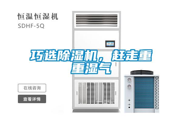 巧选除湿机，赶走重重湿气