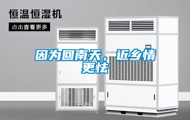 因为回南天，近乡情更怯