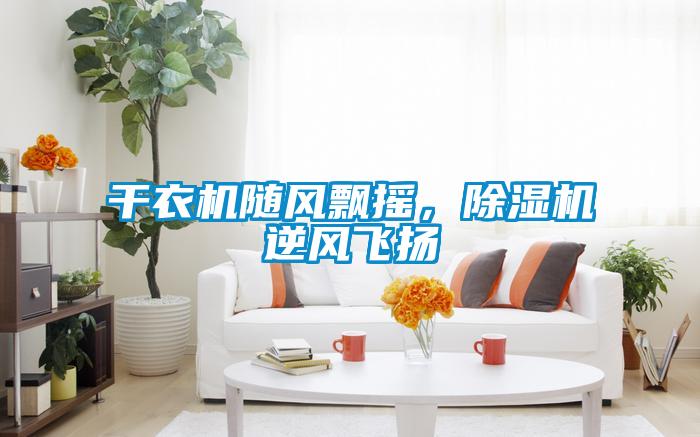 干衣机随风飘摇，除湿机逆风飞扬