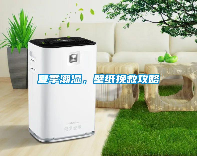 夏季潮湿，壁纸挽救攻略