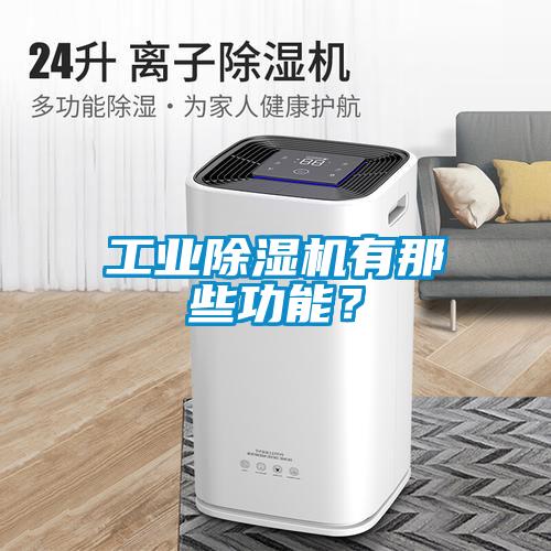 工业除湿机有那些功能？