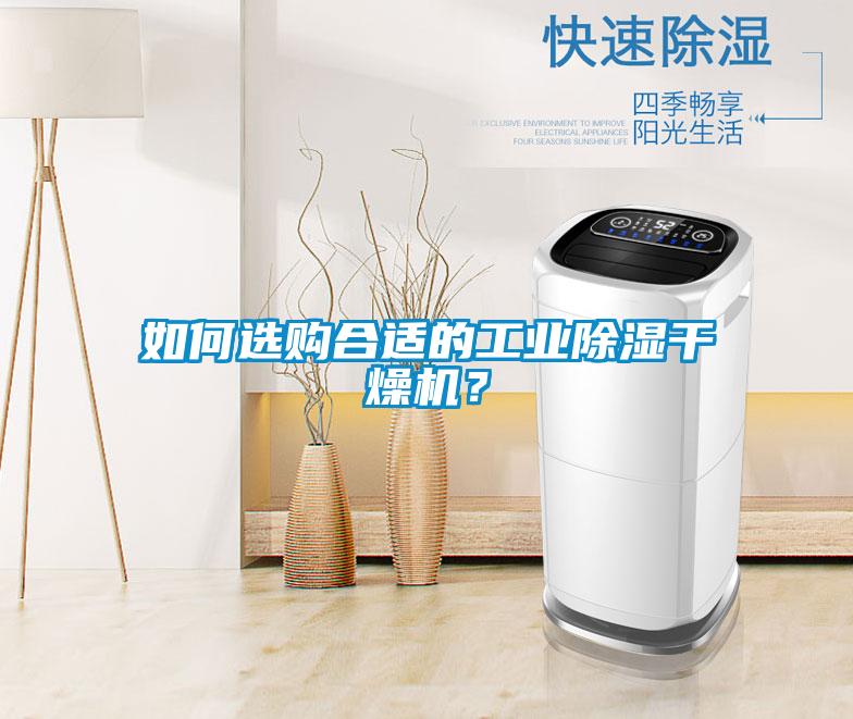 如何选购合适的工业除湿干燥机？