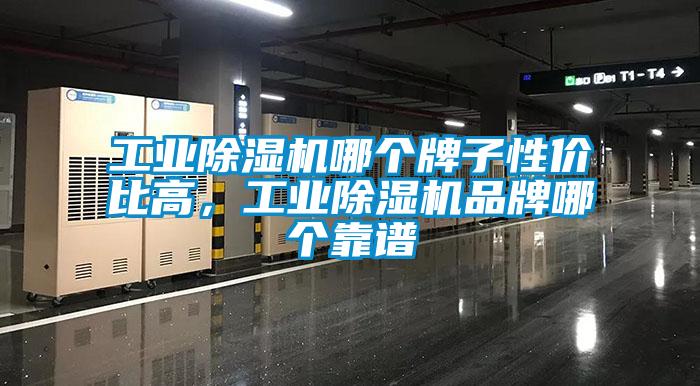 工业除湿机哪个牌子性价比高，工业除湿机品牌哪个靠谱
