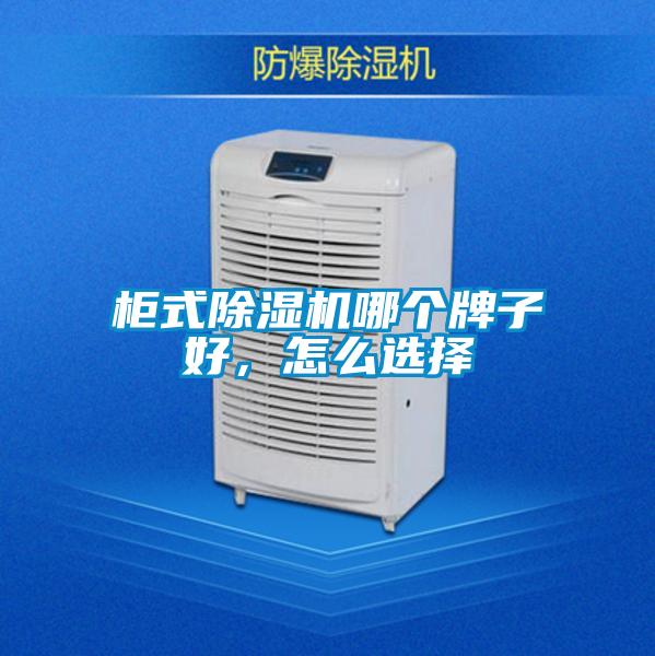 柜式除湿机哪个牌子好，怎么选择