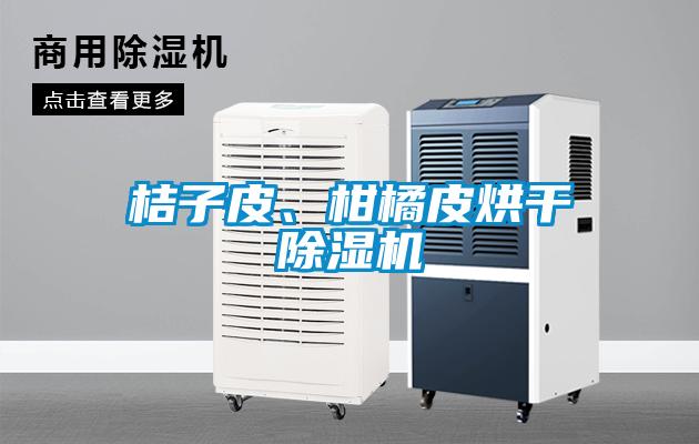 桔子皮、柑橘皮烘干除湿机