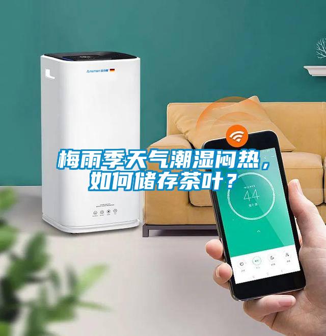 梅雨季天气潮湿闷热，如何储存茶叶？