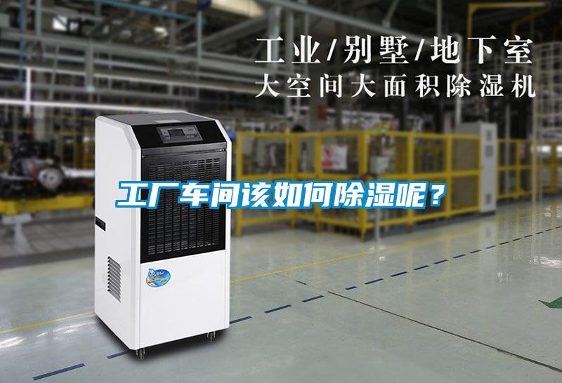 工厂车间该如何除湿呢？