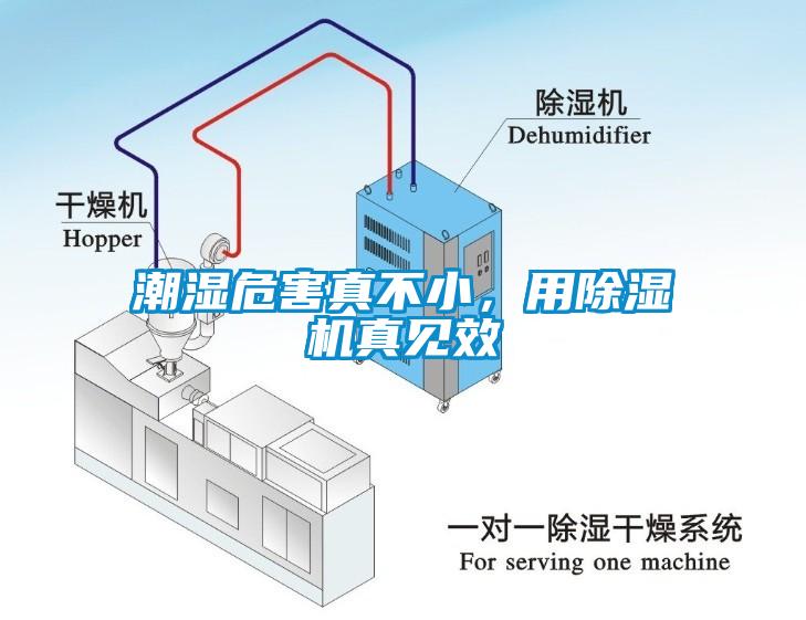 潮湿危害真不小，用除湿机真见效