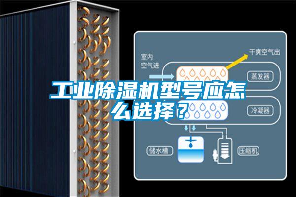 工业除湿机型号应怎么选择？