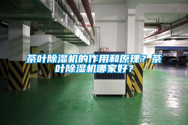 茶叶除湿机的作用和原理？茶叶除湿机哪家好？
