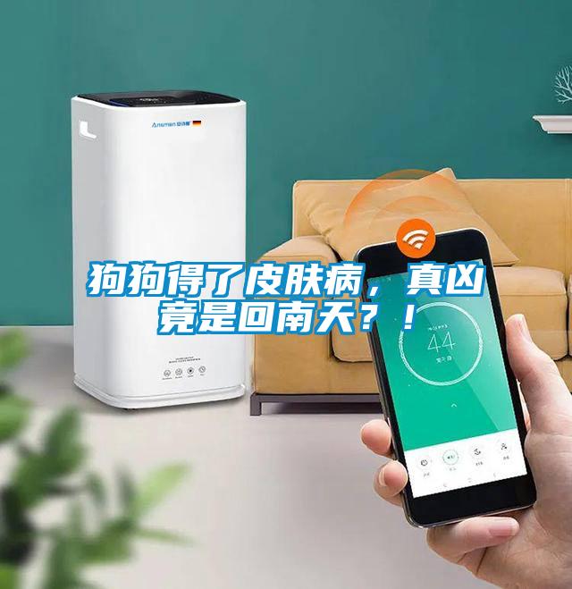 狗狗得了皮肤病，真凶竟是回南天？！