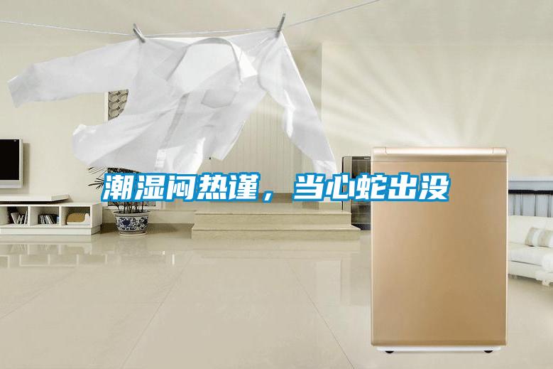 潮湿闷热谨，当心蛇出没