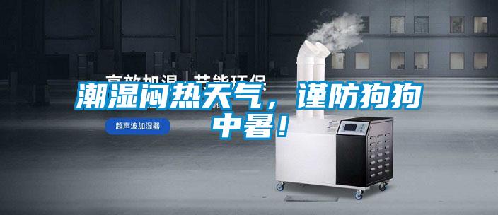 潮湿闷热天气，谨防狗狗中暑！