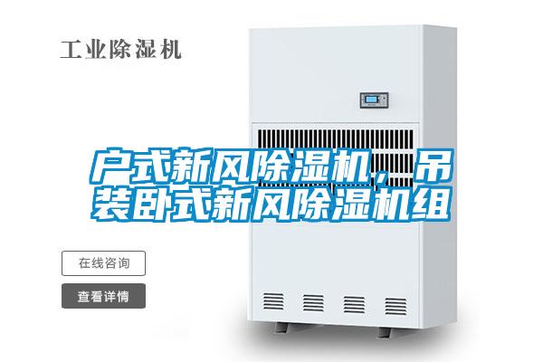 户式新风除湿机，吊装卧式新风除湿机组