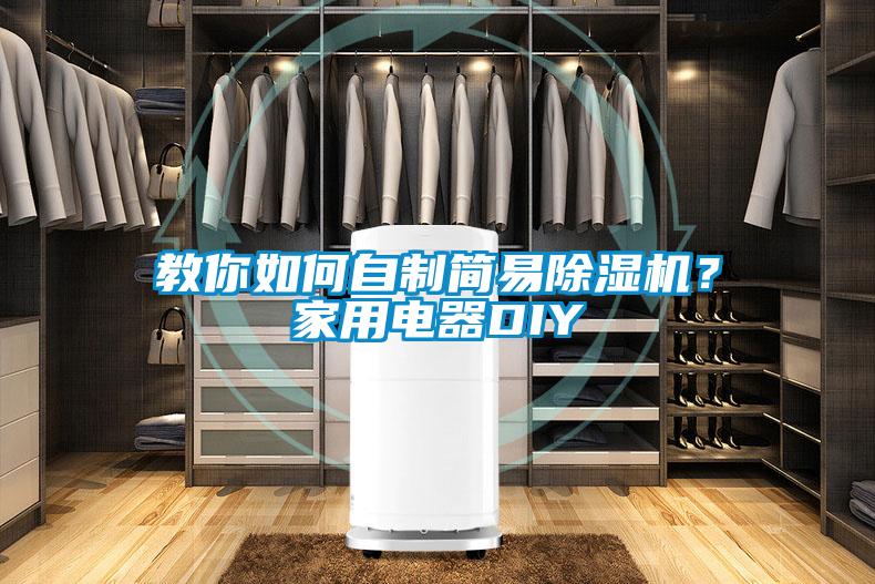 教你如何自制简易除湿机？家用电器DIY