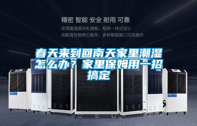 春天来到回南天家里潮湿怎么办？家里保姆用一招搞定