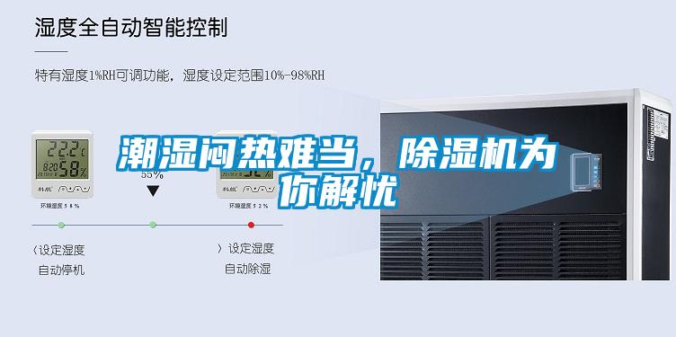潮湿闷热难当，除湿机为你解忧