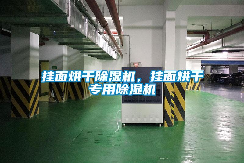 挂面烘干除湿机，挂面烘干专用除湿机