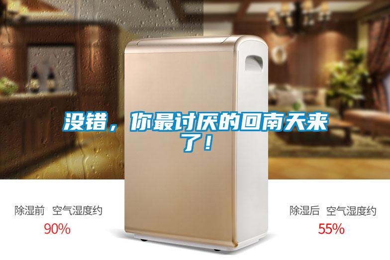 没错，你最讨厌的回南天来了！