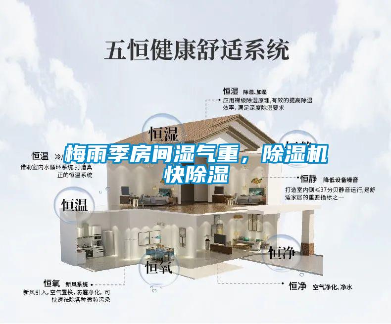 梅雨季房间湿气重，除湿机快除湿