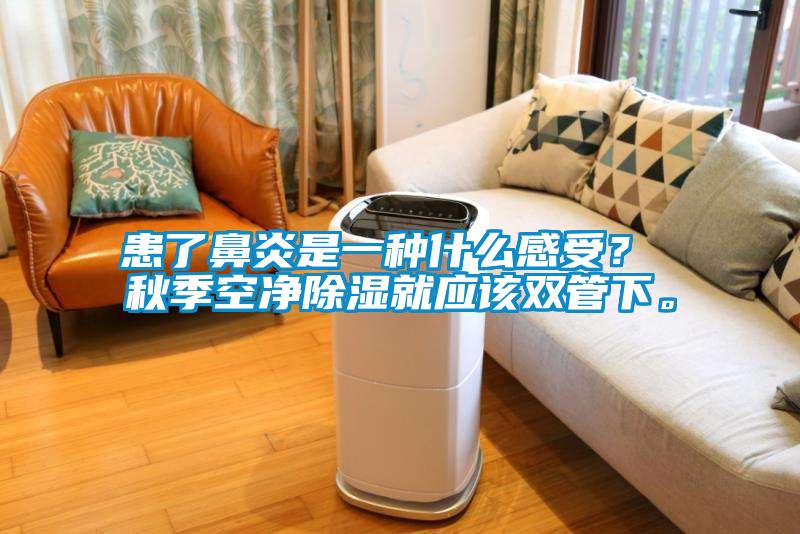 患了鼻炎是一种什么感受？ 秋季空净除湿就应该双管下。
