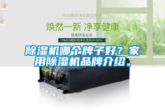 除湿机哪个牌子好？家用除湿机旭彩网。