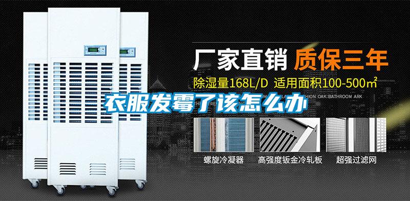 衣服发霉了该怎么办
