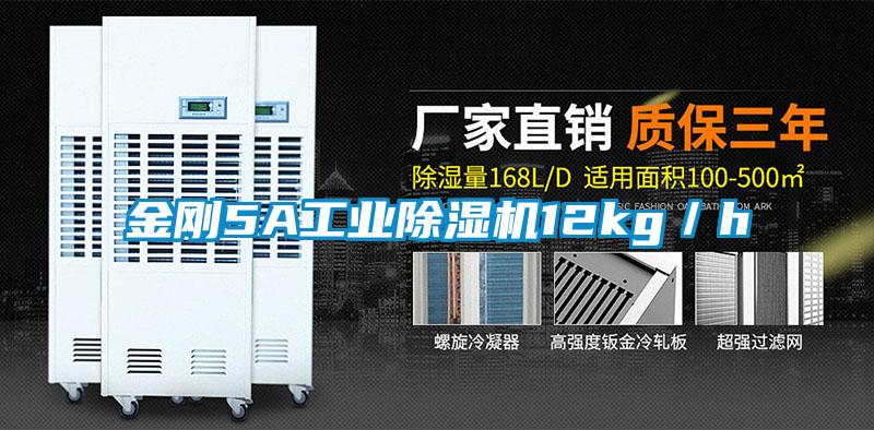 金刚5A工业除湿机12kg／h