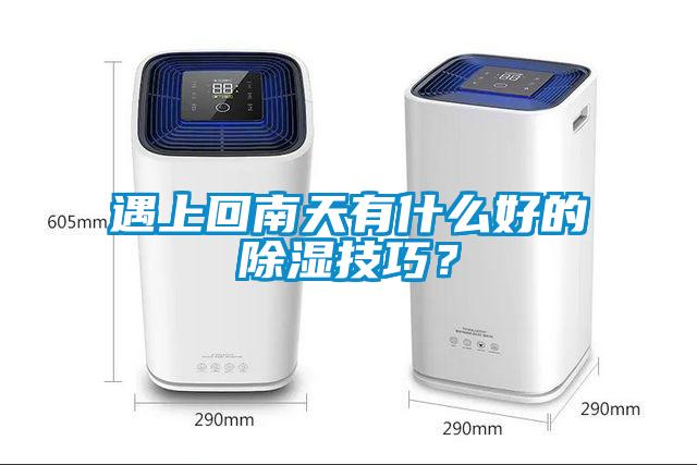 遇上回南天有什么好的除湿技巧？