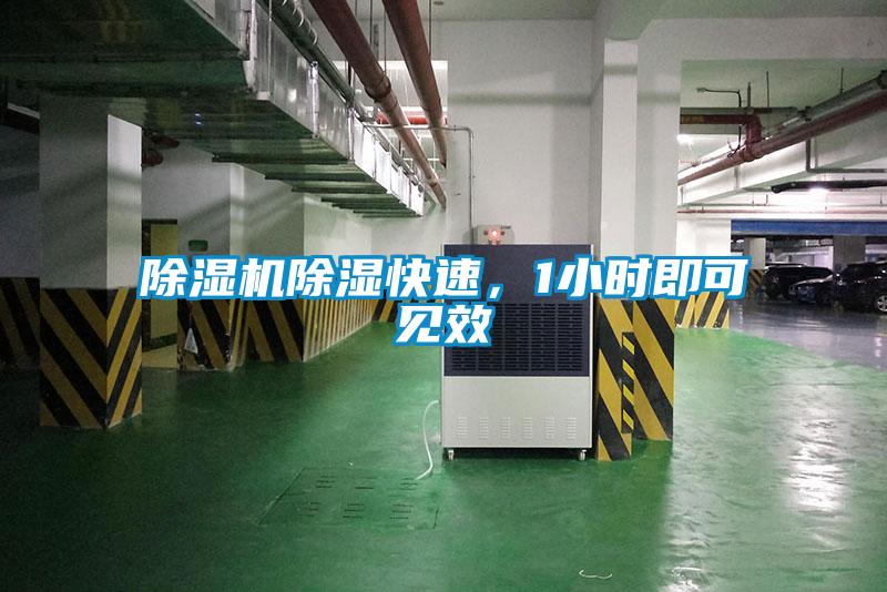 除湿机除湿快速，1小时即可见效