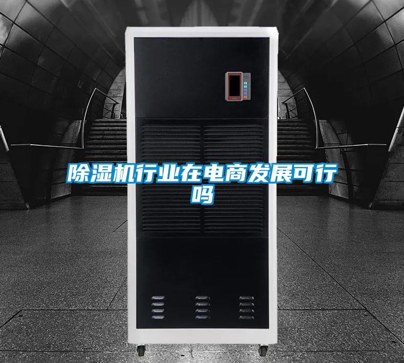 除湿机行业在电商发展可行吗
