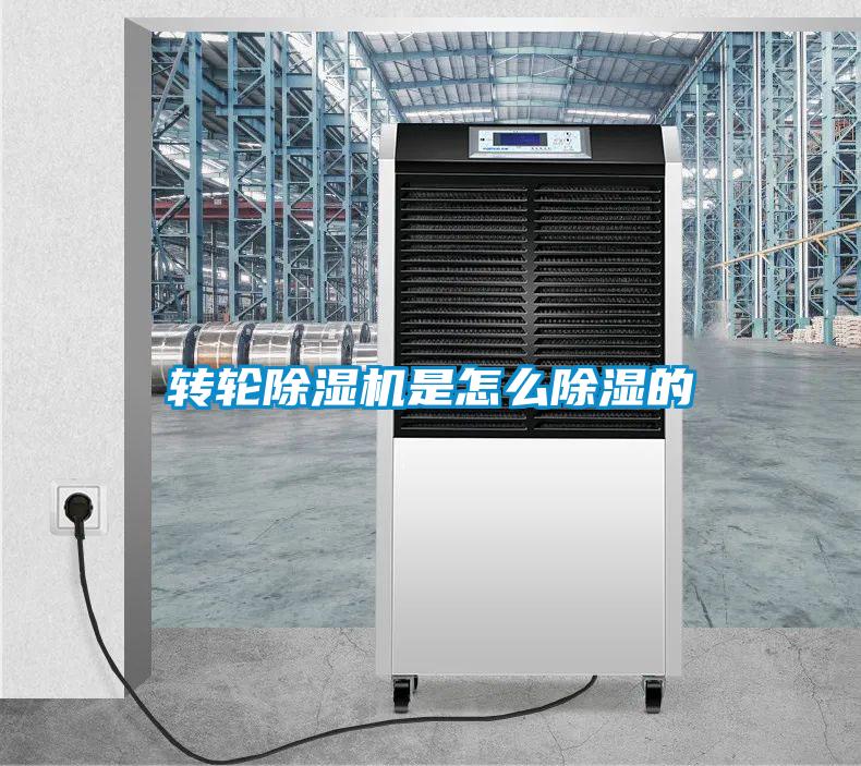 转轮除湿机是怎么除湿的