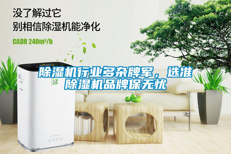 除湿机行业多杂牌军，选准除湿机品牌保无忧