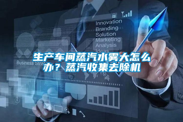 生产车间蒸汽水雾大怎么办？蒸汽收集去除机