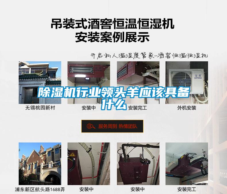 除湿机行业领头羊应该具备什么