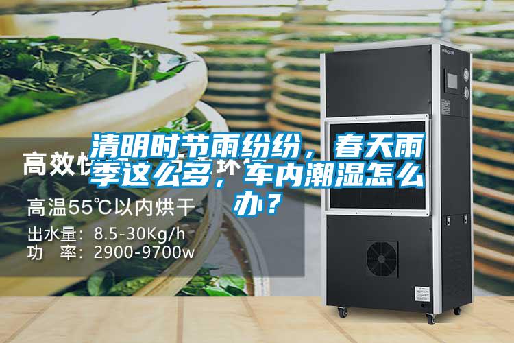清明时节雨纷纷，春天雨季这么多，车内潮湿怎么办？