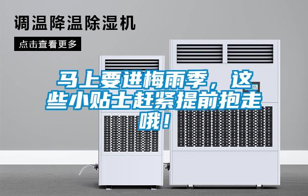 马上要进梅雨季，这些小贴士赶紧提前抱走哦！