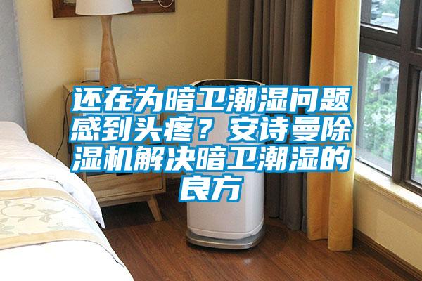 还在为暗卫潮湿问题感到头疼？安诗曼除湿机解决暗卫潮湿的良方