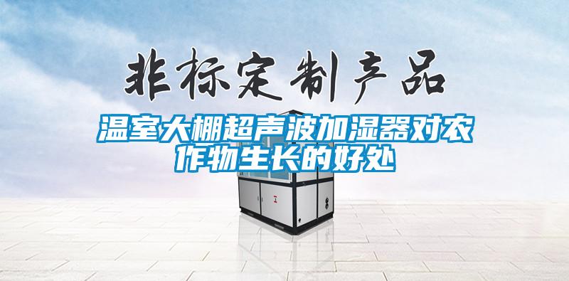 温室大棚超声波加湿器对农作物生长的好处