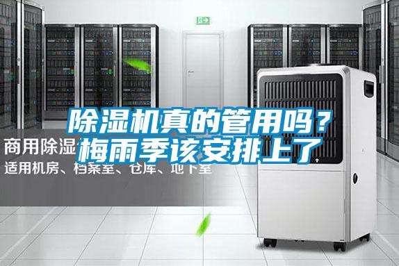 除湿机真的管用吗？梅雨季该安排上了